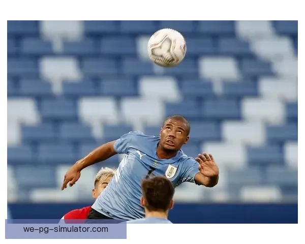 弗拉门戈正式签约乌拉圭前锋德拉克鲁斯